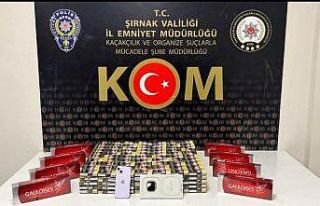 Şırnak’ta asayiş ve kaçakçılık operasyonu:...