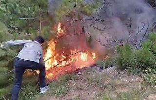 Son 10 yılda çeşitli sebeplerden 276 orman yangını...