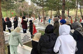 Sosyal Hizmetler kuruluşlarında kalan çocuklar,...