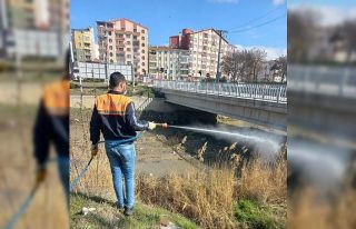 Sungurlu’da vektörel mücadele sürüyor