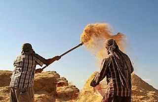 Tarımsal girdi fiyat endeksi şubatta aylık yüzde...