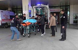 Tarlaya giren hayvan kavgası kanlı bitti: Öldürdüğü...