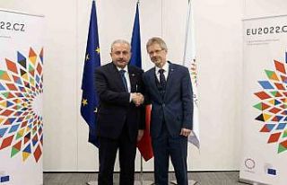 TBMM Başkanı Şentop, Çekya Senato Başkanı Vystrcil...