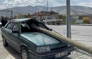 Telefon direği otomobile ok gibi saplandı