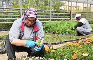 Tepebaşı renk renk