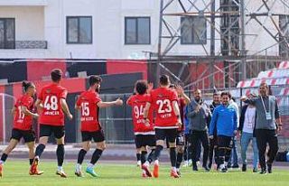 TFF 2. Lig: Vanspor FK: 2 - Serikspor: 2