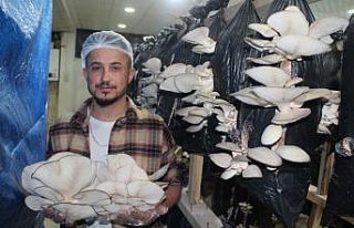 Tır şoförlüğünü bırakıp hayallerinin peşinden...