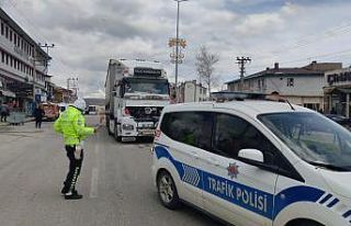 Tır yola çıkan köpeğe çarpmamak için fren yapan...