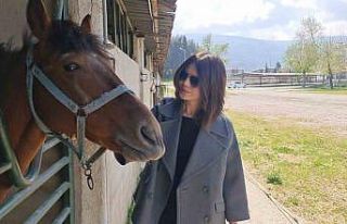 Tire Belediyesinin satışa çıkardığı atlar emin...