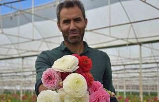 Türkiye’de sadece Antalya’da üretiliyor, yüzde...