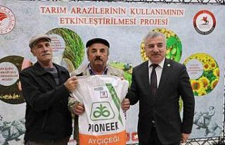 Üreticiye yağlık ayçiçeği tohumu desteği