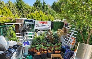 Uyuşturucu imalathanesine operasyon: 7 tutuklama