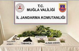 Uyuşturucu operasyonunda 1 gözaltı