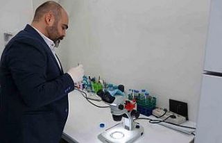 Uzmanı uyardı: “Çıplak elle keneye dokunmayın"