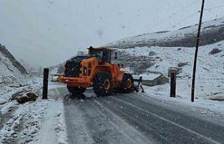 Van-Bahçesaray yolu ulaşıma kapatıldı