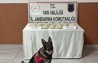 Van’da 9 kilo 880 gram toz esrar ele geçirildi