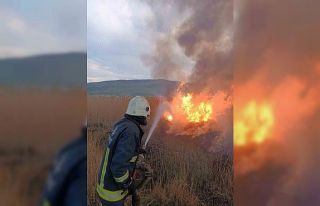 Van’da sazlık alanlarda yangın