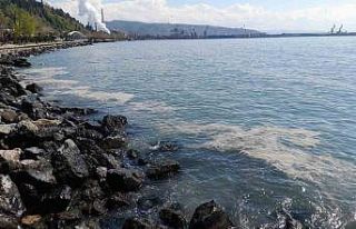 Vatandaş kirliliği müsilaja benzetti