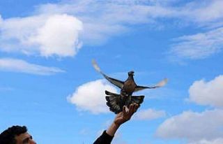 Vazgeçilmeyen bir tutku, saatlerce yanlarında bekliyorlar