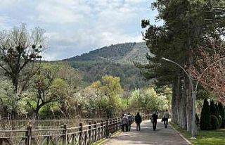 Yağmur beklentisi vatandaşların piknik planlarını...