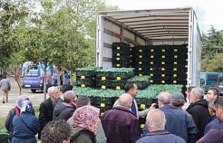 Yalova’da çiftçilere 252 bin adet sebze fidesi...