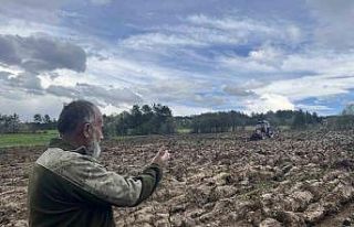 Yarım asırdan fazla süredir boş kalan tarım arazisi...