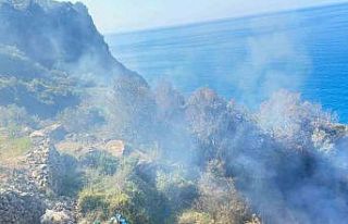 Yerleşim yerlerine yakın noktada çıkan yangın...