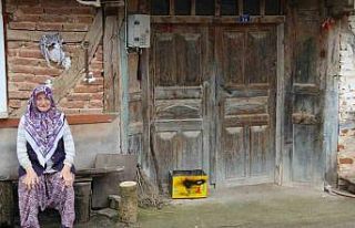 Yıllara meydan okuyan köy evleri