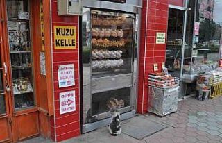 Yiyemediği etleri hayranlıkla izledi