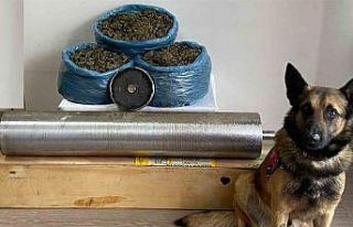 Yolcu otobüsündeki 15 kilo uyuşturucuyu "Asır"...