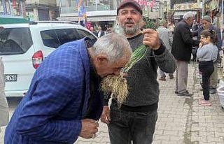 Yüksek dağlarda yetişen ve birçok hastalığa...