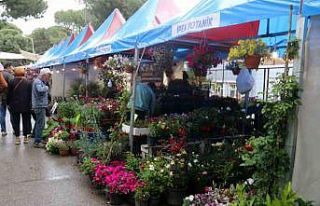 24. Uluslararası Bayındır Çiçek Festivali kapılarını...