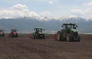 500 bin ton şeker pancarından 2 milyar TL gelir...