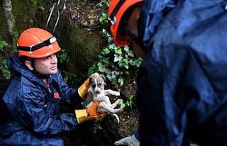 5 metrelik çukurda mahsur kalan yavru köpek kurtarıldı