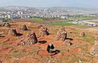 77’lik İsmail dede, 300 ton taş topladığı dağlık...