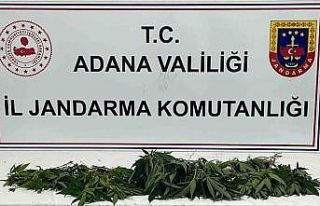 Adana’da jandarmadan “Huzur ve güven” uygulaması