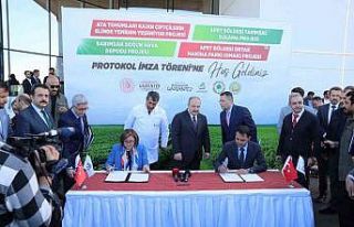 Afetzede çiftçiler tarımsal üretimi aksatmıyor