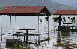Afrika çöllerini aratmıyordu, şimdiyse kamelyalar...
