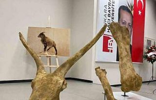 Afrika’daki hayvanların 7,5 milyon yıl önce Anadolu’da...