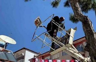 Ağaçta mahsur kalan kediyi itfaiye kurtardı