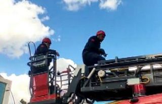 Ağır hasarlı binaya giren kediyi itfaiye ekipleri...