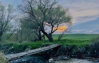 Ağrı baharla beraber renklere boyandı