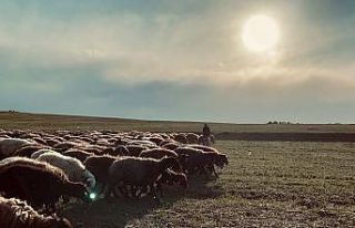 Ağrı’da gün batımı göz kamaştırdı