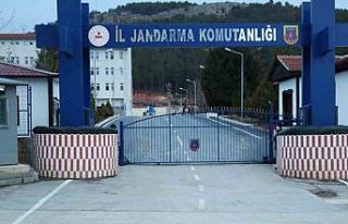 Ahırdaki ineği çalan hırsızlar jandarmadan kaçamadı