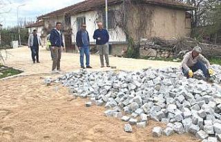 Aizanoi Antik Kenti çevresine 25 bin metrekare doğal...