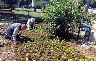 Akdeniz’de yeşil alanlar yenileniyor