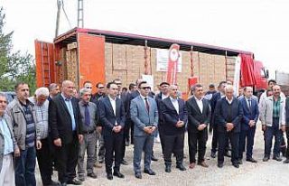 Akıncılar’da 220 bin domates fidesi dağıtıldı