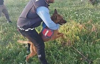 Aksaray’da uyuşturucu operasyonu: 5 gözaltı