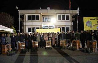 Akyurt’ta çiftçilere arılı kovan dağıtıldı