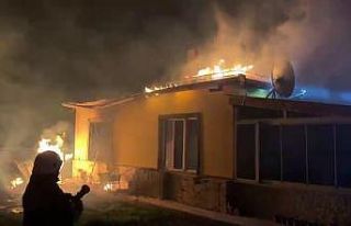 Alevlerin geceyi aydınlattığı yangında müstakil...